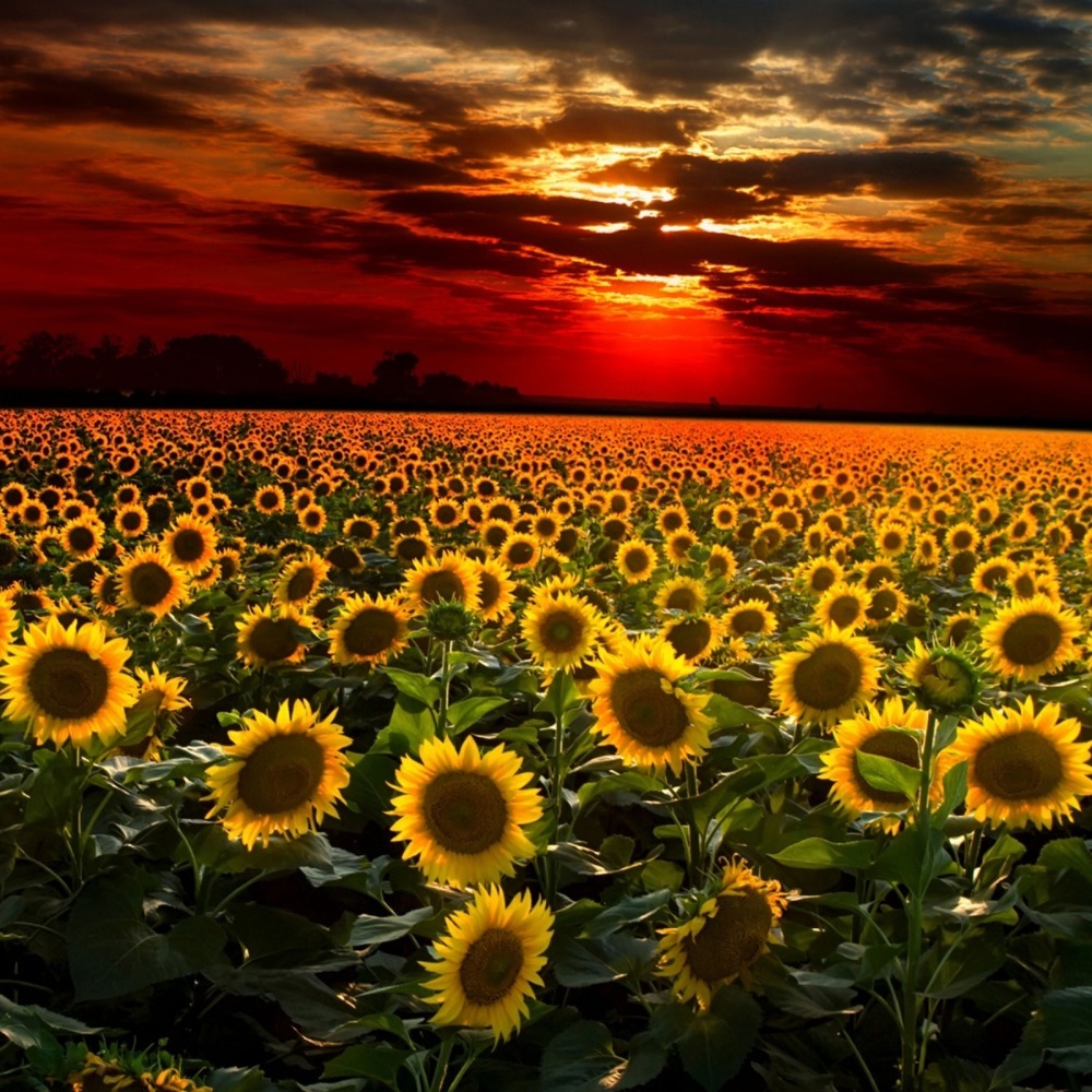 I’m Ginny 💕🐻